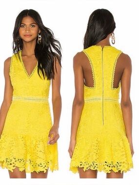 ALICE + OLIVIA Marleen Fit Flare Dress in Sun size 10